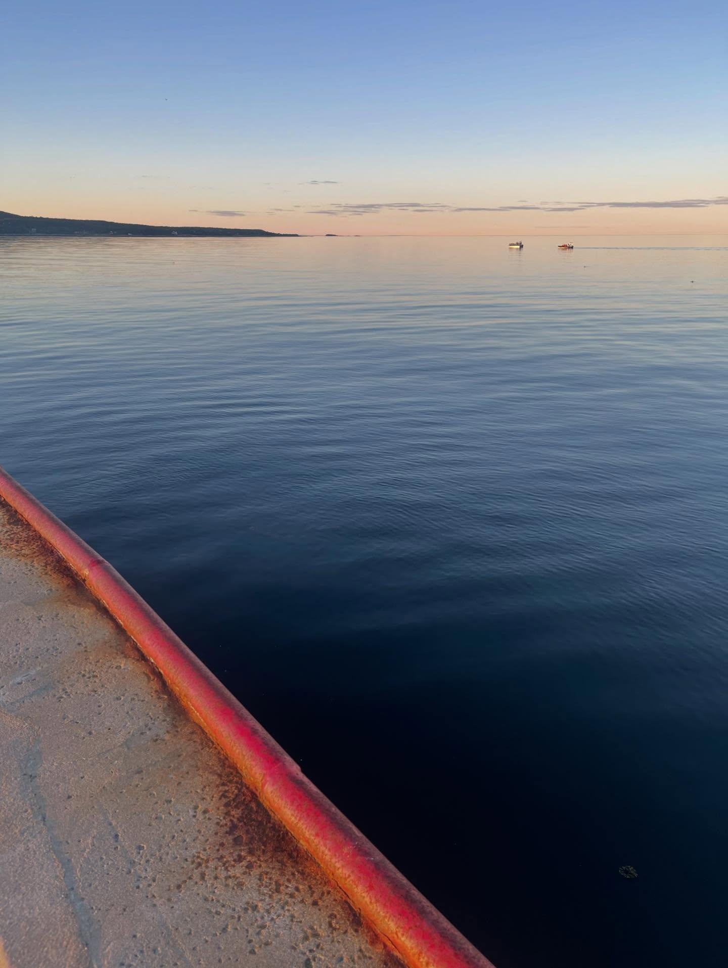 Observation des baleines.