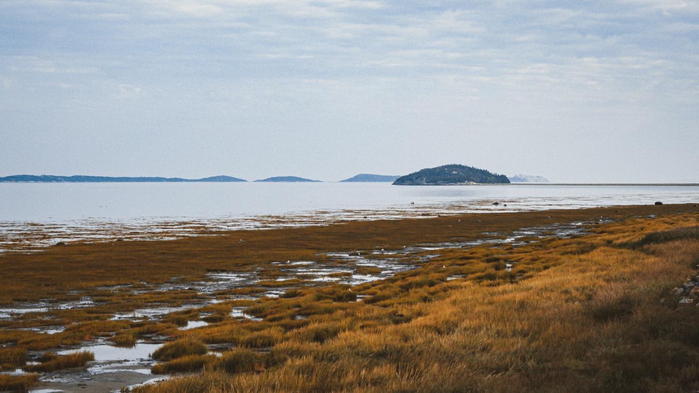 Kamouraska.
